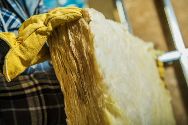 Best Residential Insulation in Escatawpa, MS