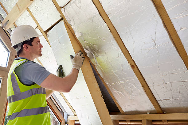 Best Insulation Maintenance and Repair in Escatawpa, MS